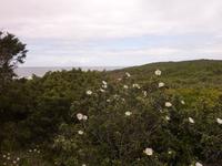 P1180504 &ndash; &copy; Cornelia Ritter (Eberhardt TRAVEL)