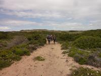 P1180510 &ndash; &copy; Cornelia Ritter (Eberhardt TRAVEL)