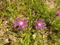 P1180515 &ndash; &copy; Cornelia Ritter (Eberhardt TRAVEL)