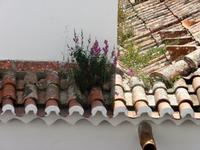  Nationalpalastes in Sintra &ndash; &copy; Steffi Zimmermann (Eberhardt TRAVEL)