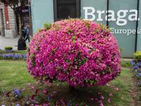Braga &ndash; &copy; Hans-Joachim Trutz (Eberhardt TRAVEL)