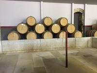 Weingut Quinta da Pacheca &ndash; &copy; Sabine Letzybyll (Eberhardt TRAVEL)