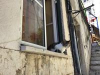 Lissabon  &ndash; &copy; Sabine Letzybyll (Eberhardt TRAVEL)