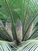 IMG_2304 &ndash; &copy; Anna Stiebing (Eberhardt TRAVEL)