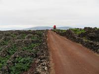 Weinanbau auf Pico &ndash; &copy; Anna Stiebing (Eberhardt TRAVEL)