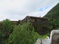 Faja Grande, Flores &ndash; &copy; Anna Stiebing (Eberhardt TRAVEL)
