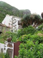 Faja Grande, Flores &ndash; &copy; Anna Stiebing (Eberhardt TRAVEL)