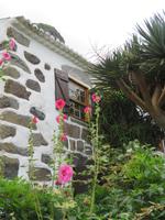Faja Grande, Flores &ndash; &copy; Anna Stiebing (Eberhardt TRAVEL)