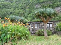 Faja Grande, Flores &ndash; &copy; Anna Stiebing (Eberhardt TRAVEL)