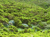 Baumheide &ndash; &copy; Anna Stiebing (Eberhardt TRAVEL)