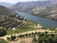 Douro-Tal &ndash; &copy; Roswitha Zytowski (Eberhardt TRAVEL)