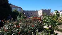 Braga 20181009 140748 &ndash; &copy; Marlies Thrum (Eberhardt TRAVEL)