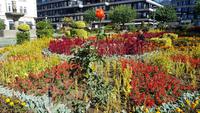 Braga 20181009 140952 &ndash; &copy; Marlies Thrum (Eberhardt TRAVEL)