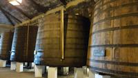 Quinta da Pacheca 20181010 164735 &ndash; &copy; Marlies Thrum (Eberhardt TRAVEL)