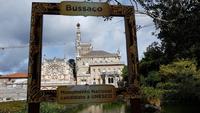 Bussaco 20181011 143223 &ndash; &copy; Marlies Thrum (Eberhardt TRAVEL)