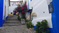 Obidos 20181012 172756 &ndash; &copy; Marlies Thrum (Eberhardt TRAVEL)