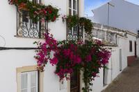 P1220498,Silves (8) &ndash; &copy; Claudia Hartwich (Eberhardt TRAVEL)