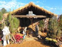 Weihnachtskrippe &ndash; &copy; Martina Häselbarth (Eberhardt TRAVEL)