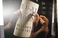 Blandy's Wine Lodge (5) &ndash; &copy; Susanne Schirmann (Eberhardt TRAVEL)