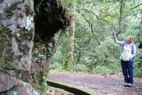 Fatima und der echte Lorbeerbaum &ndash; &copy; Susanne Schirmann (Eberhardt TRAVEL)