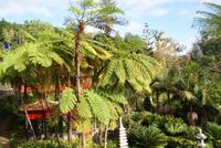 Monte Palace (11) &ndash; &copy; Susanne Schirmann (Eberhardt TRAVEL)