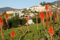 Pico dos Barcelos (3) &ndash; &copy; Susanne Schirmann (Eberhardt TRAVEL)
