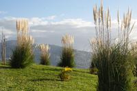 Pico dos Barcelos (4) &ndash; &copy; Susanne Schirmann (Eberhardt TRAVEL)