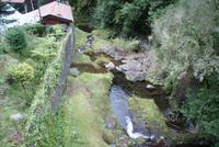 Ribero Frio (5) &ndash; &copy; Susanne Schirmann (Eberhardt TRAVEL)