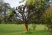 Blandy's Garten (2) &ndash; &copy; Susanne Schirmann (Eberhardt TRAVEL)