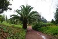 Blandy's Garten (3) &ndash; &copy; Susanne Schirmann (Eberhardt TRAVEL)