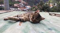 nette Begegnung &ndash; &copy; Susanne Schirmann (Eberhardt TRAVEL)