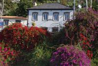 Camara de Lobos (2) &ndash; &copy; Susanne Schirmann (Eberhardt TRAVEL)