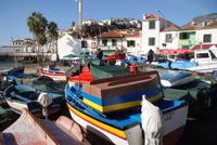 Camara de Lobos (5) &ndash; &copy; Susanne Schirmann (Eberhardt TRAVEL)