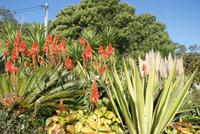 Cabo Girao (4) &ndash; &copy; Susanne Schirmann (Eberhardt TRAVEL)