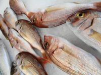 Fischmarkt &ndash; &copy; Martina Häselbarth (Eberhardt TRAVEL)