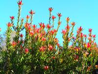 Blandys Garden &ndash; &copy; Martina Häselbarth (Eberhardt TRAVEL)
