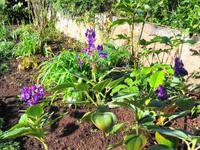 Blandys Garden &ndash; &copy; Martina Häselbarth (Eberhardt TRAVEL)