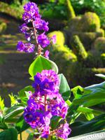 Blandys Garden &ndash; &copy; Martina Häselbarth (Eberhardt TRAVEL)