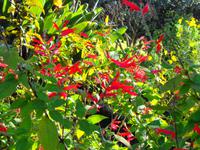 Blandys Garden &ndash; &copy; Martina Häselbarth (Eberhardt TRAVEL)