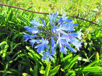 Blandys Garden &ndash; &copy; Martina Häselbarth (Eberhardt TRAVEL)