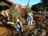 Weihnachtskrippe &ndash; &copy; Martina Häselbarth (Eberhardt TRAVEL)
