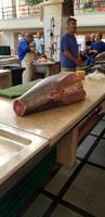 Thunfisch &ndash; &copy; Mandy Rabe (Eberhardt TRAVEL)