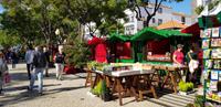 Weihnachtsmarkt  &ndash; &copy; Mandy Rabe (Eberhardt TRAVEL)