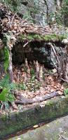 Levadawanderung  &ndash; &copy; Mandy Rabe (Eberhardt TRAVEL)