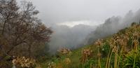 Eira do Serrado  &ndash; &copy; Mandy Rabe (Eberhardt TRAVEL)