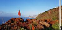 Christusstatue Canico  &ndash; &copy; Mandy Rabe (Eberhardt TRAVEL)