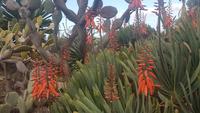 Botanischer Garten &ndash; &copy; Kristina Hesse (Eberhardt TRAVEL)