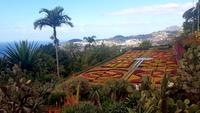 Botanischer Garten &ndash; &copy; Kristina Hesse (Eberhardt TRAVEL)