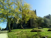 Castelo Guimarães (Schloss) &ndash; &copy; Kathrin Bock Leao (Eberhardt TRAVEL)