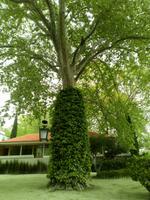 NATUR &ndash; &copy; Kathrin Bock Leao (Eberhardt TRAVEL)